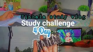 44 day study challenge *Day 4*|sinhala study vlog | learn with lohi 🌧️🥶&hearts;️