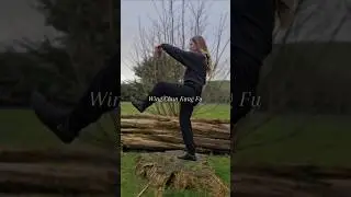 Wing Chun is beautiful | Training & some clips from Hong Kong 🫶 #kungfu #martialartswomen