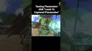 Taming Pteranodon ARK &ldquo;Level 10 tame Pteranodon