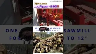 recover profit from pine beetle killed stems using LogRippers. Short#260108