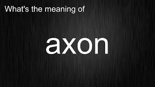 What's the meaning of 
