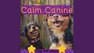 Calm Canine