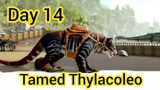 Finally I tame Thylacoleo |How to tame Thylacoleo in Red Wood Forest series|Ark ultimate Day 14