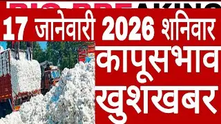 17 जानेवारी 2026 शनिवार राज्यातील कापूस शेतकऱ्यांसाठी मोठी खुशखबर आजचे ताजे कापूसभाव cottonrate Live