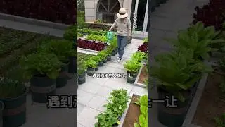 🌱 **