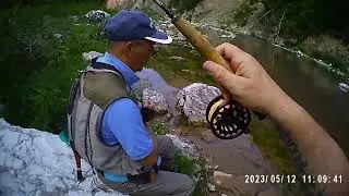 No Kill - Perarolo di Cadore