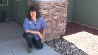 Phoenix Pest Control Service tip 602.308.4509