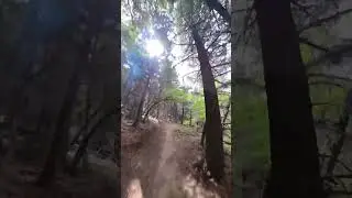 Fisher Peak Descend (2) #mtb #ctmountainbiking