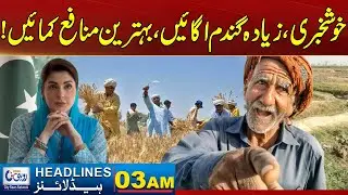 Good News For Farmers - Increase Production, Boost Income | 3 AM News Headlines | 12 Nov 2025 | Rohi