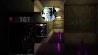 GHOST streamer Floppylegss gets stunned by a Monkey
