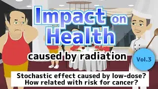 (How related with low-dose/cancer risk?) Impact on human health caused by radiation (Vol. 3)
