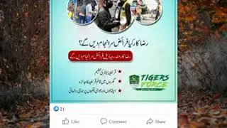 What Will the Tiger Force Do   Tiger Force Salary