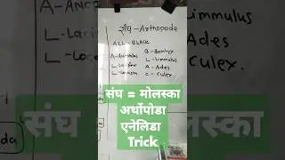trick संघ Annelida||Arthopda||Molluska Trick📚 #neet2023 #short animals kingdom all trick bio