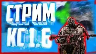 стрим по кс 1.6 гоу на   NSK