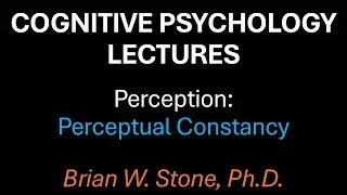 Cognitive Psychology - Perception Pt2 - Perceptual Constancy