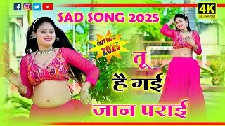 🔴उन हाथन ते कत्ल करा गई जिनसे कलम चलाई | फिर भी मेरी न हुई तू हो गई जान परायी | Ramdhan Gurjar Song