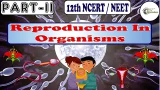 Reproduction in Organisms part-II | #12thNCERT | #NEET | #Reproduction | #AIIMS |#NCERT | #medical