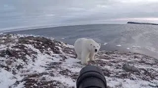 Любопытсво