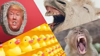 OFFICE MEMES COMPILATION V002 #Memes #Meme #Meme's #Office #Compilation #Comedy #Funny #Reaction