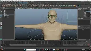 Rigging Project 