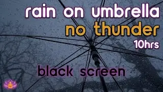[Black Screen] Rain on Umbrella No Thunder | Rain Sounds for Sleeping