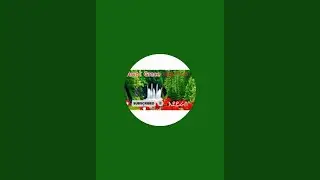 አሰለም አለኩም  ከማርከቶ ውጭ ስራ ጃማርን