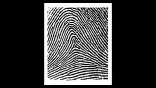 Tented arch the rarest fingerprint