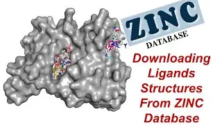 AutoDock | Как загрузить структуру лекарств из базы данных ZINC 4 Виртуальный скрининг лекарств (...