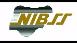Digital payment fraud drops from N52.26bn to N25.85bn in 2025 &mdash; NIBSS