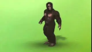 Greenscreen Bigfoot HD