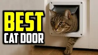 ☑️ Top 5 Best Cat Door of 2025 : Who wins in 2025 ?..😍✨