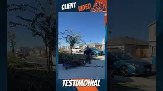 🐶🦮Off leash Dog Training / Obedience Training 🦮🐶