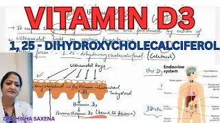 Vitamin D3- 1,25-dihydroxycholecalciferol hormone, Synthesis & regulation of 1,25- DHCC
