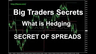 LEARN OPTIONS TRADING - SECRET OF SPREADS | What is Hedging | Big Traders Secrets In Option Trading