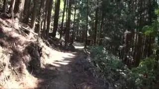 B109熊野古道中辺路Ⅲ-9＜仲人茶屋～湯川王子への迂回路（4）林道～蛇形地蔵）＞