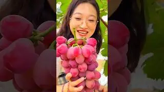 Amazing Facts That Will Blow Your Mind! Part-5 #shortfeed #shorts #nepal #trending #goviral