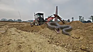 New JCB 3DX Eco in Mud Loading | Mahindra & New Holland Tractors| New Jcb Working Video WMM Loading 