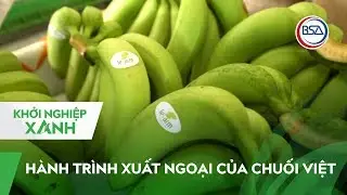 Ước mơ một nông trại sản phẩm sạch của du học sinh Mỹ | Khởi nghiệp Xanh