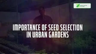 Selecting the perfect plant for urban spaces #urbanfarms #farming #agriculture