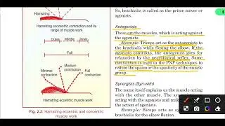 Muscle action,agonist,antagonist,synergist, fixators, exercise therapy #physiotherapy #youtube