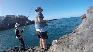 Pesca de viejas a boya y pulso (coup). Fishing parrotfish