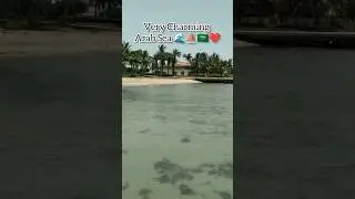 Very Charming Arab Sea🌊⛵🇸🇦❤️ #trendingshorts #shortsfeed #viral #foryou #new #arabsea