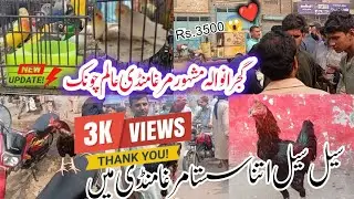 😱 Gujranwala  | Alam Chowk  Rs 3500 Ka Murgha |  Murgha Mandi Latest News Update | 16.1.2026
