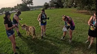 SommerSports - Rock Springs Run Trail 5K 10K - Sorrento, FL - Snacks, Donkey Pets, Awards, Post Race