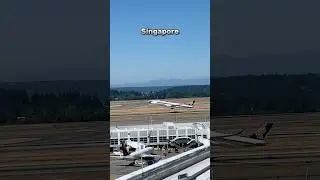 One first class ticket, which airline are you choosing?
