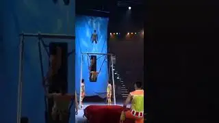 Swing in the circus! #shorts #swing #acrobatics #acrobat #трюки #tricks #jump #jumping #acrobat