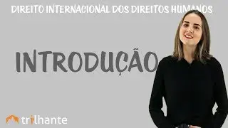 O Direito Internacional dos Direitos Humanos - Introdução