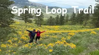 Spring Loop Trail - Wildflowers hike, Cashemere - Washington