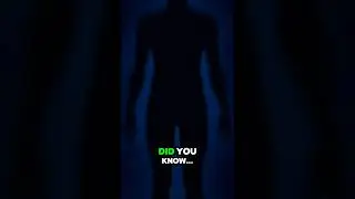 Humans Actually Glow in the Dark! ✨