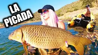 Tenemos una picada inesperada y nos quedamos sorprendidos. Sesión carpfishing Encinarejo